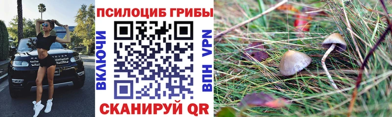 Галлюциногенные грибы мицелий  где продают   Трубчевск 